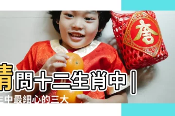 【最細心的生肖是哪個】請問十二生肖中 |男生中最細心的三大生肖 |細心的動物 |