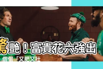 【富貴花】驚艷！富貴花六強出爐，個個「又肥又壯又會爆盆」，超難養死！