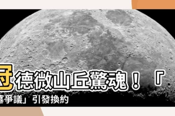 【冠德微山丘墳墓】冠德微山丘驚魂！「墳墓爭議」引發換約潮