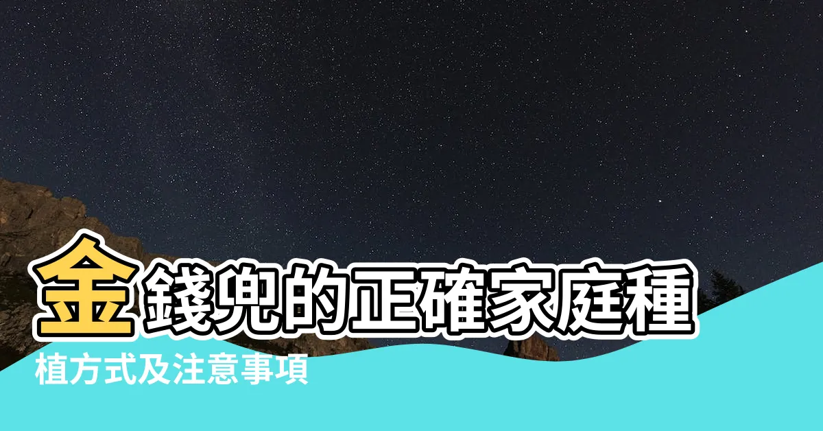 【錢兜】金錢兜的正確家庭種植方式及注意事項 |