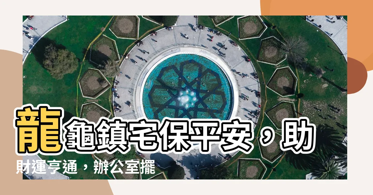 【龍龜擺放辦公室】龍龜鎮宅保平安，助財運亨通，辦公室擺放必知！