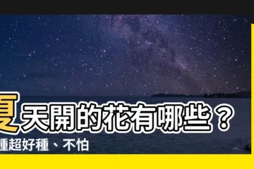 【夏天開的花有哪些】夏天開的花有哪些？18種超好種、不怕曬的夏季花卉推薦