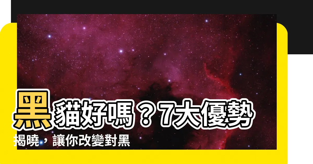 【黑貓好嗎】黑貓好嗎？7大優勢揭曉，讓你改變對黑貓的迷信想法！