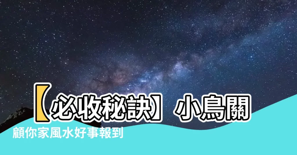 【小鳥花風水】【必收秘訣】小鳥關顧你家風水好事報到！天堂鳥旺運養護全攻略