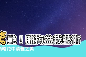 【臘梅盆栽】驚艷！臘梅盆栽藝術，領略花中清雅之美