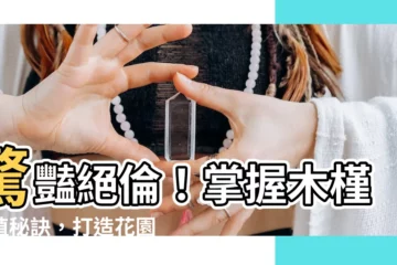 【木槿種植】驚豔絕倫！掌握木槿種植秘訣，打造花園中的奪目嬌客