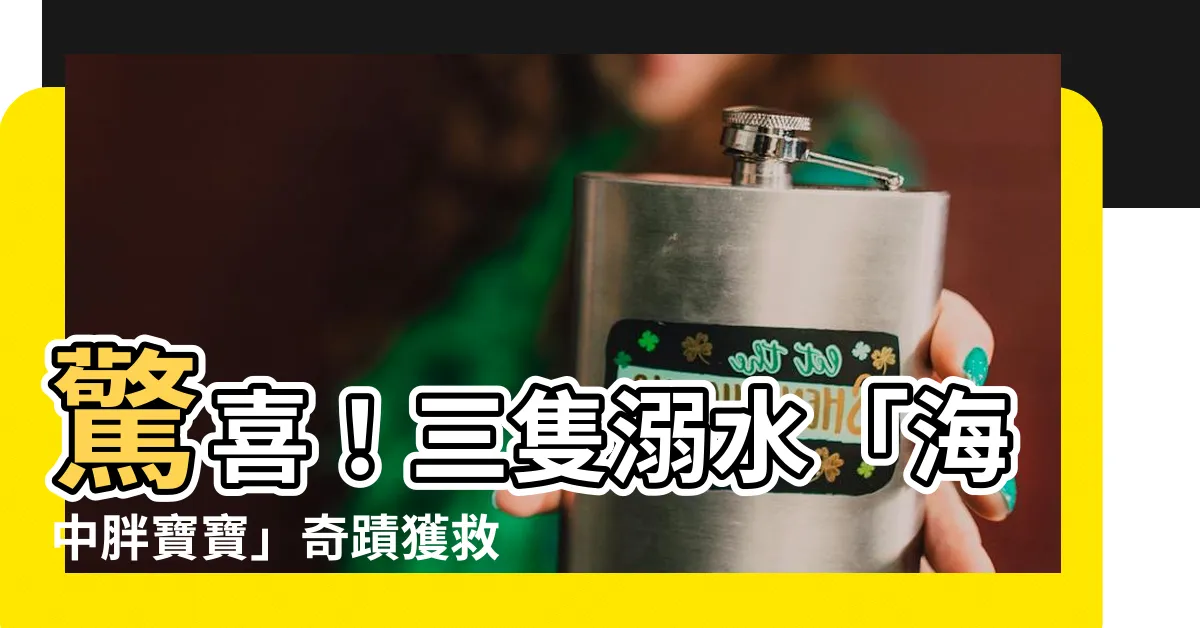 【陀艮】驚喜！三隻溺水「海中胖寶寶」奇蹟獲救，原來牠們是...