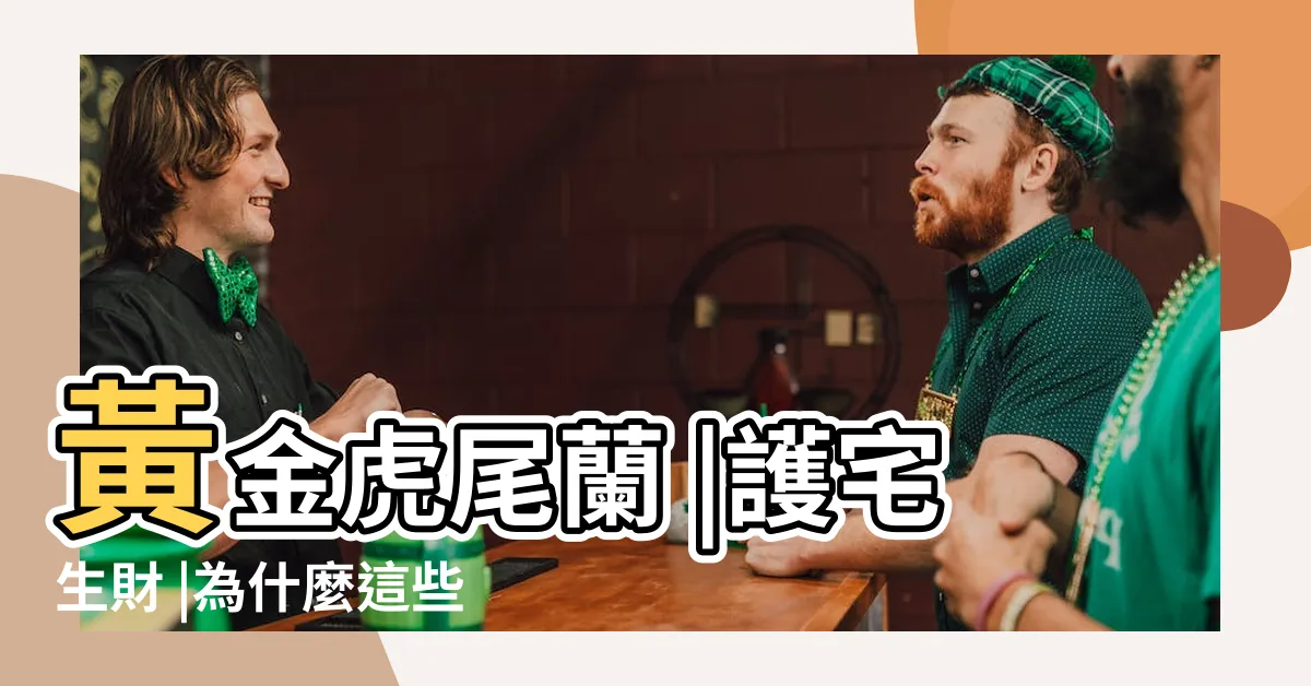 【虎尾蘭擺放位置】黃金虎尾蘭 |護宅生財 |為什麼這些地方不能放 |