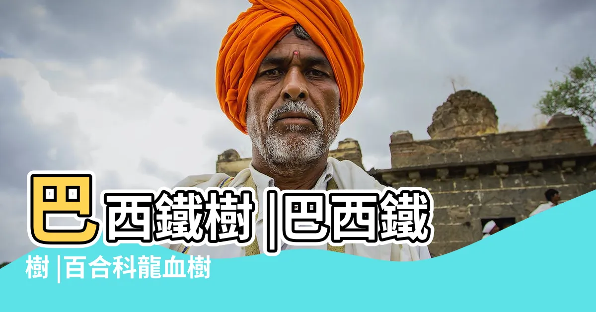 【巴西 鐵樹】巴西鐵樹 |巴西鐵樹 |百合科龍血樹屬植物 |