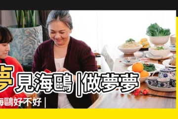 【周公解夢海鷗】夢見海鷗 |做夢夢見海鷗好不好 |