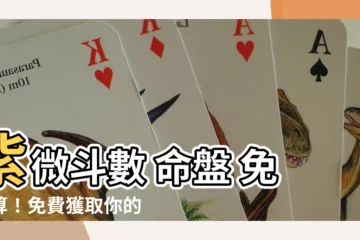 【紫微鬥數 命盤 免費】紫微鬥數 命盤 免費算！免費獲取你的命運藍圖