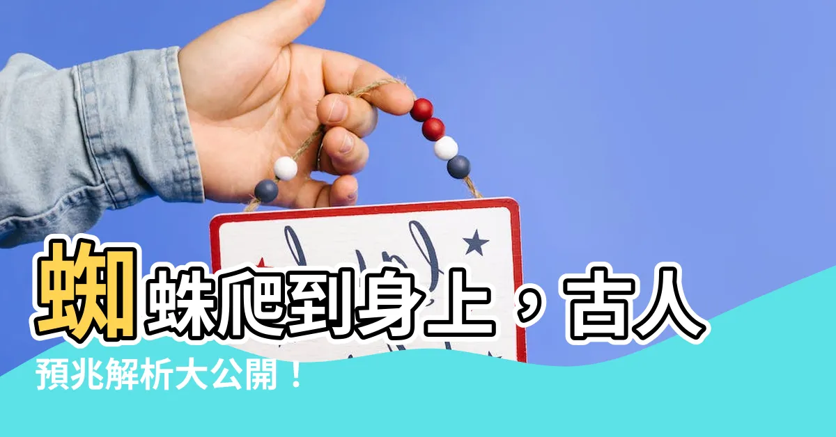 【蜘蛛爬到身上】蜘蛛爬到身上，古人預兆解析大公開！