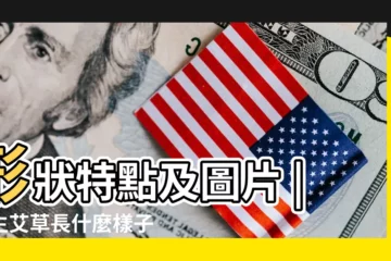 【?[草長什麼樣子】形狀特點及圖片 |野生艾草長什麼樣子 |透骨草長什麼樣子 |