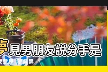 【夢見男朋友和説分手】夢見男朋友説分手是什麼意思 |夢見男朋友提出分手 |夢見男朋友提出分手 |