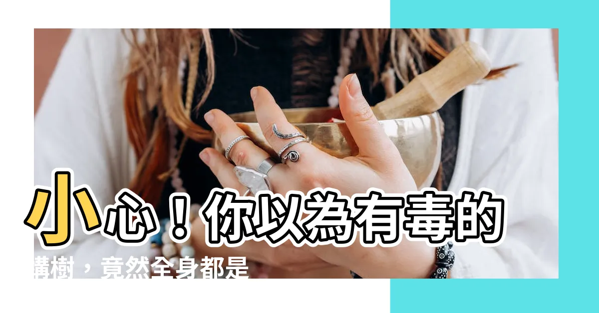 【構樹有毒】小心！你以為有毒的構樹，竟然全身都是寶！