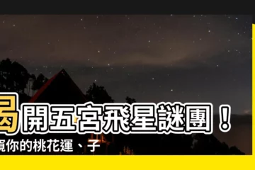 【五宮飛星怎麼看】揭開五宮飛星謎團！一窺你的桃花運、子女緣