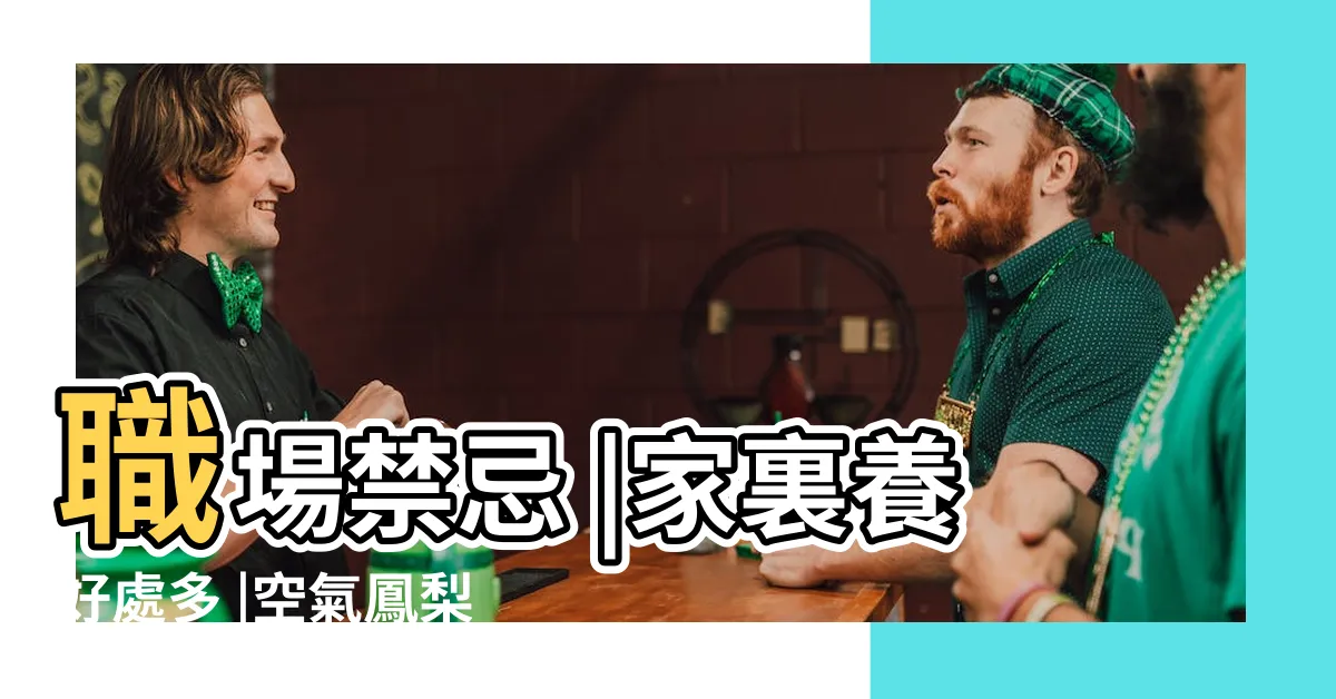 【空氣鳳梨 風水】職場禁忌 |家裏養好處多 |空氣鳳梨對風水的作用 |