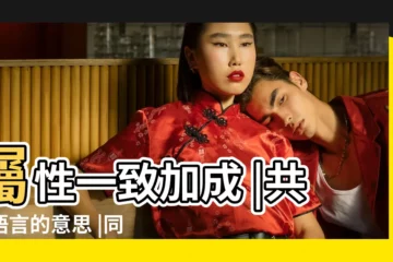 【同 屬性】屬性一致加成 |共同語言的意思 |同字五行屬什麼 |