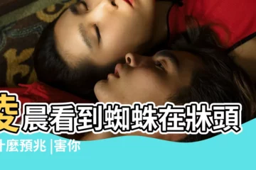 【牀頭有蜘蛛代表什麼意思】凌晨看到蜘蛛在牀頭爬什麼預兆 |害你發噩夢的風水陷阱 |牀頭晚上出現蜘蛛徵兆貴人運勢好家運旺 |