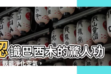 【巴西木功效】認識巴西木的驚人功效：既能淨化空氣，又能帶來好運！