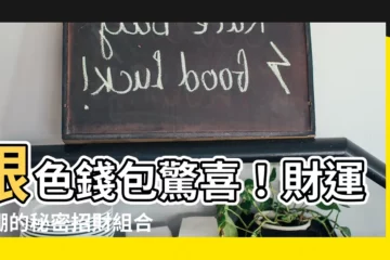 【銀色錢包】銀色錢包驚喜！財運爆棚的秘密招財組合