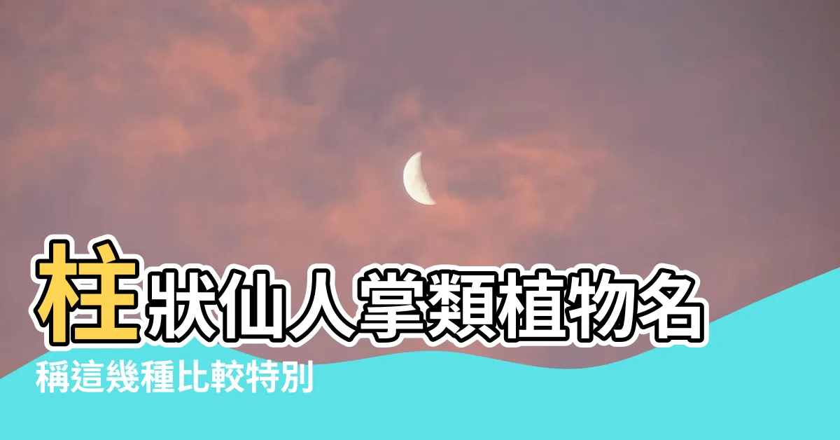 【柱形仙人掌】柱狀仙人掌類植物名稱這幾種比較特別 |