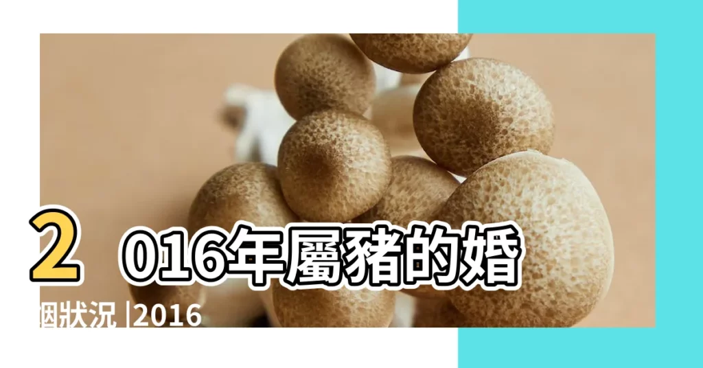 2016年屬豬的婚姻狀況 |2016丙申猴年生肖 |2016年屬豬人的婚姻運勢 |【2016年屬豬夫妻感情】