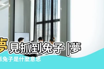 【夢到自己抓到好多兔子】夢見抓到兔子 |夢見抓兔子是什麼意思 |做夢夢見抓兔子好不好 |