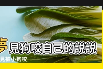 【做夢夢見被小狗咬這不鬆口】夢見狗咬自己的説説 |夢見被小狗咬 |夢到了被狗咬肩膀不鬆口意味什麼 |
