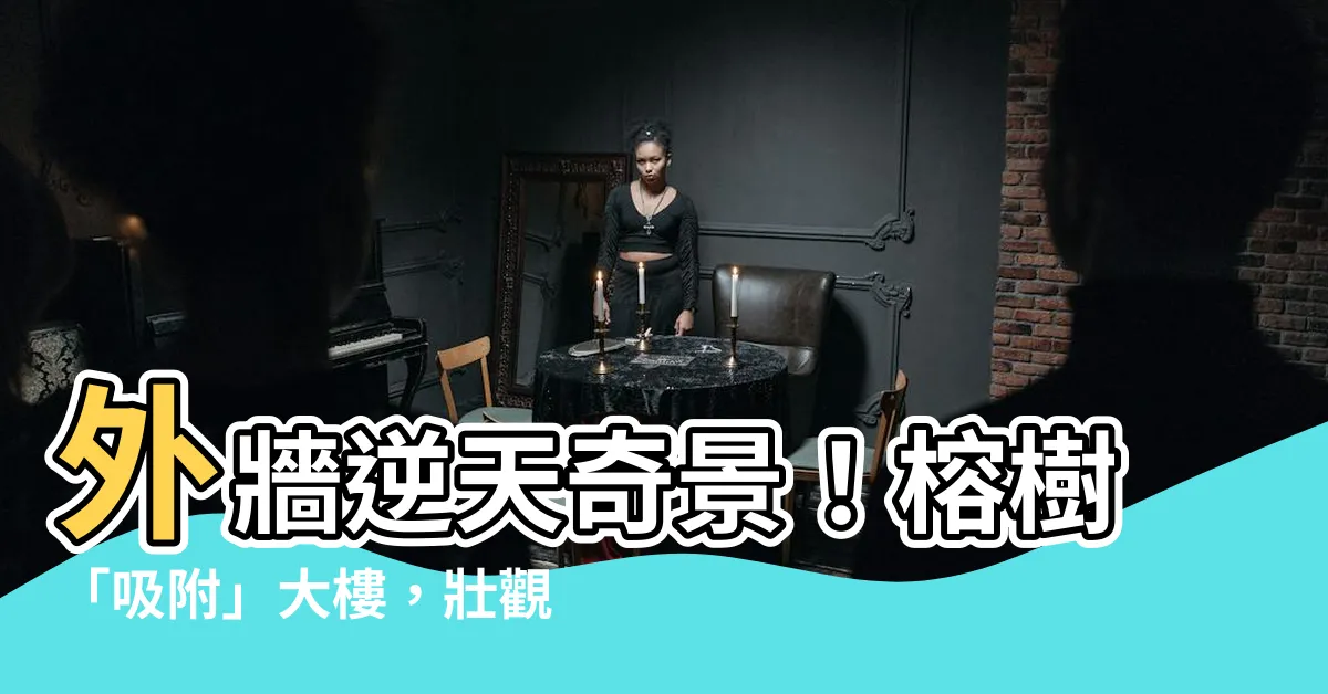 【外牆長榕樹】外牆逆天奇景！榕樹「吸附」大樓，壯觀景象嚇壞眾人