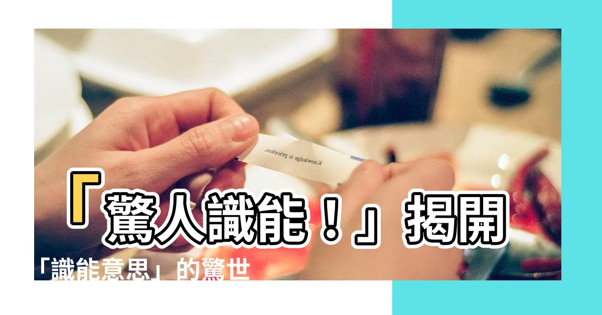【識能意思】「驚人識能！」揭開「識能意思」的驚世秘密！你絕對不能錯過！