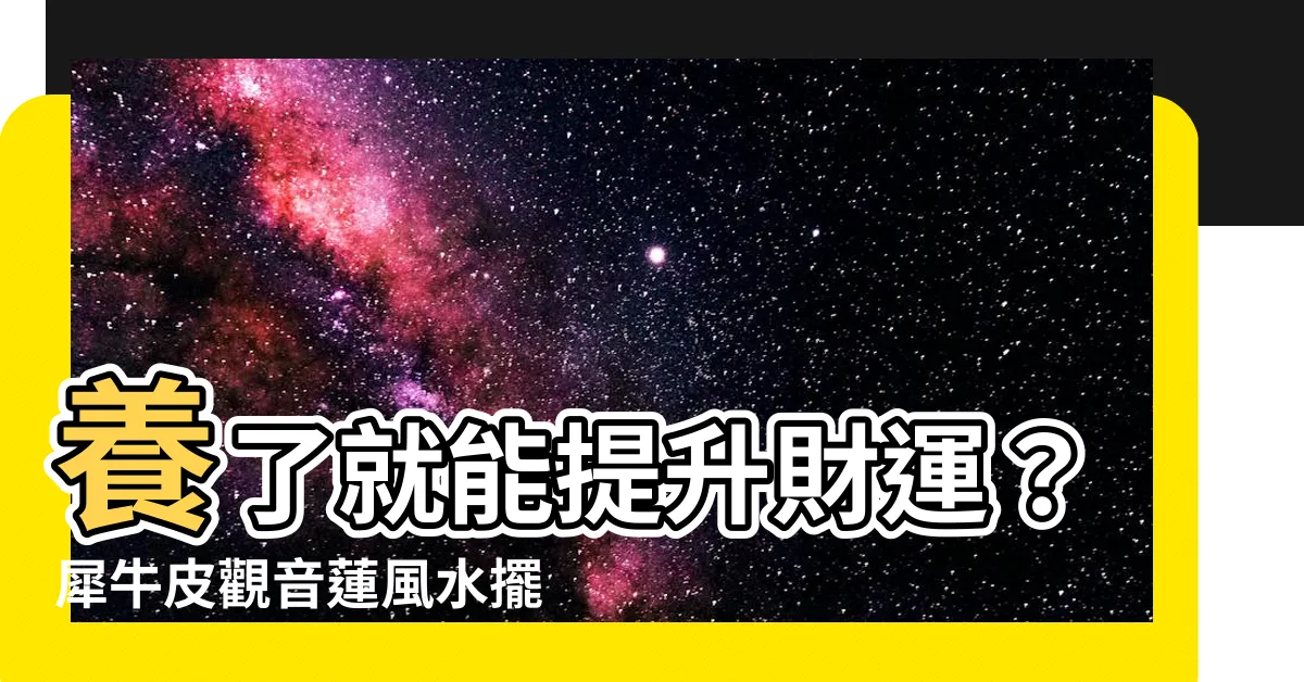 【犀牛皮觀音蓮風水】養了就能提升財運？犀牛皮觀音蓮風水擺放大解析！