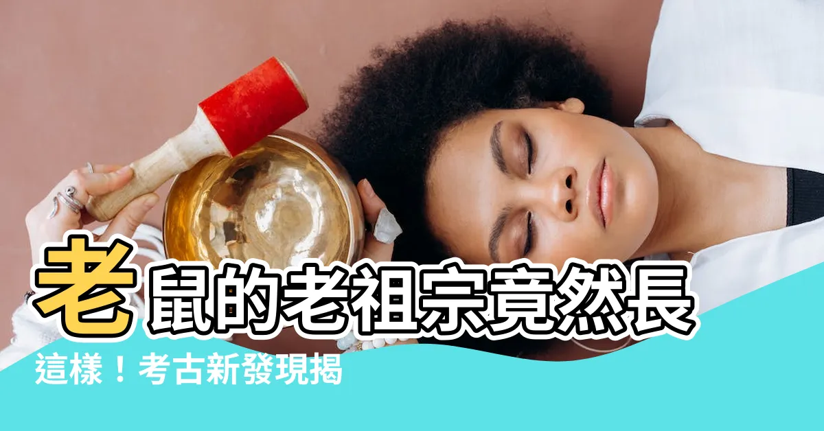 【老鼠的祖先】老鼠的老祖宗竟然長這樣！考古新發現揭開驚人真相