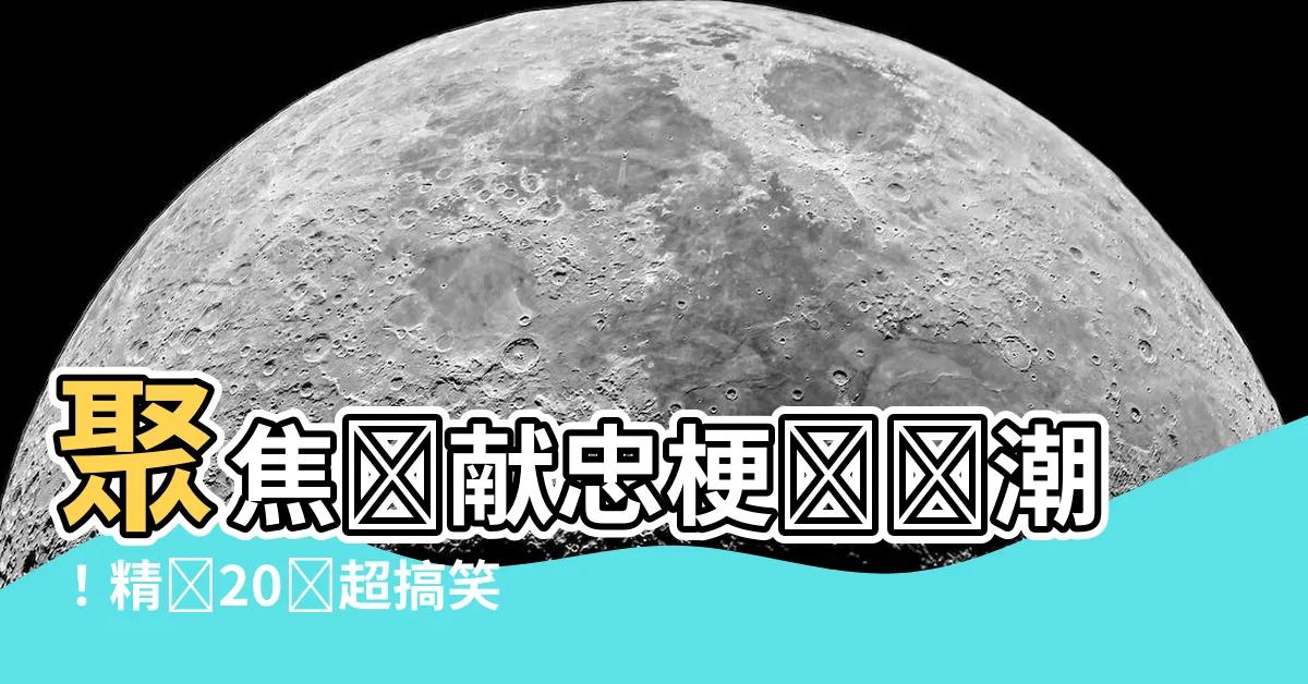 【張獻忠梗圖】聚焦張獻忠梗圖熱潮！精選20張超搞笑創作，笑翻你的朋友圈！