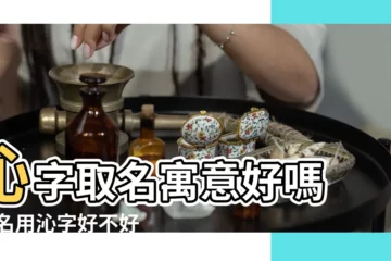 【沁這個字好不好】沁字取名寓意好嗎 |取名用沁字好不好 |沁沁的意思是什麼 |