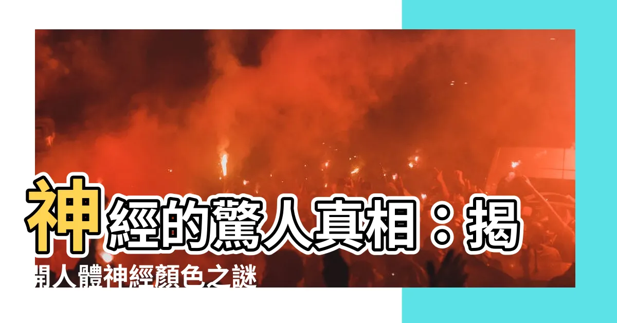 【神經顏色】神經的驚人真相：揭開人體神經顏色之謎