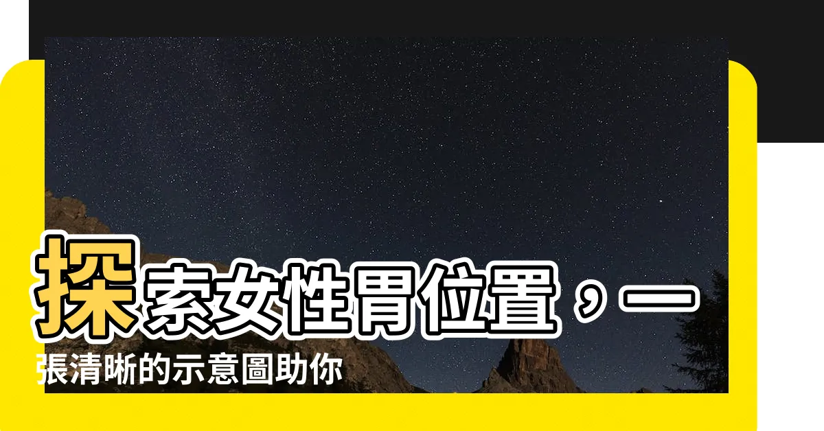 【女胃位置】探索女性胃位置，一張清晰的示意圖助你瞭解女胃位置的奧秘！