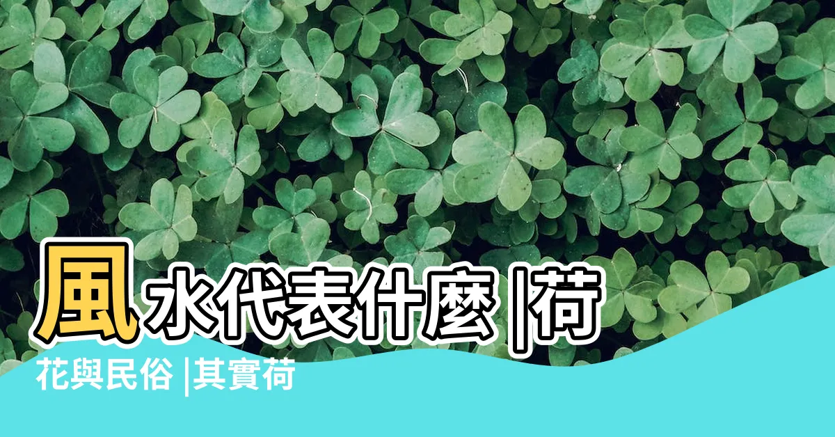 【荷花意義】風水代表什麼 |荷花與民俗 |其實荷花擁有六大象徵意義 |