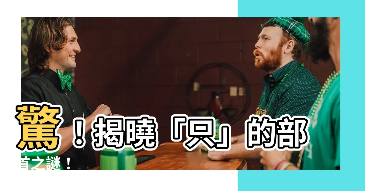 【只的部首】驚！揭曉「只」的部首之謎！