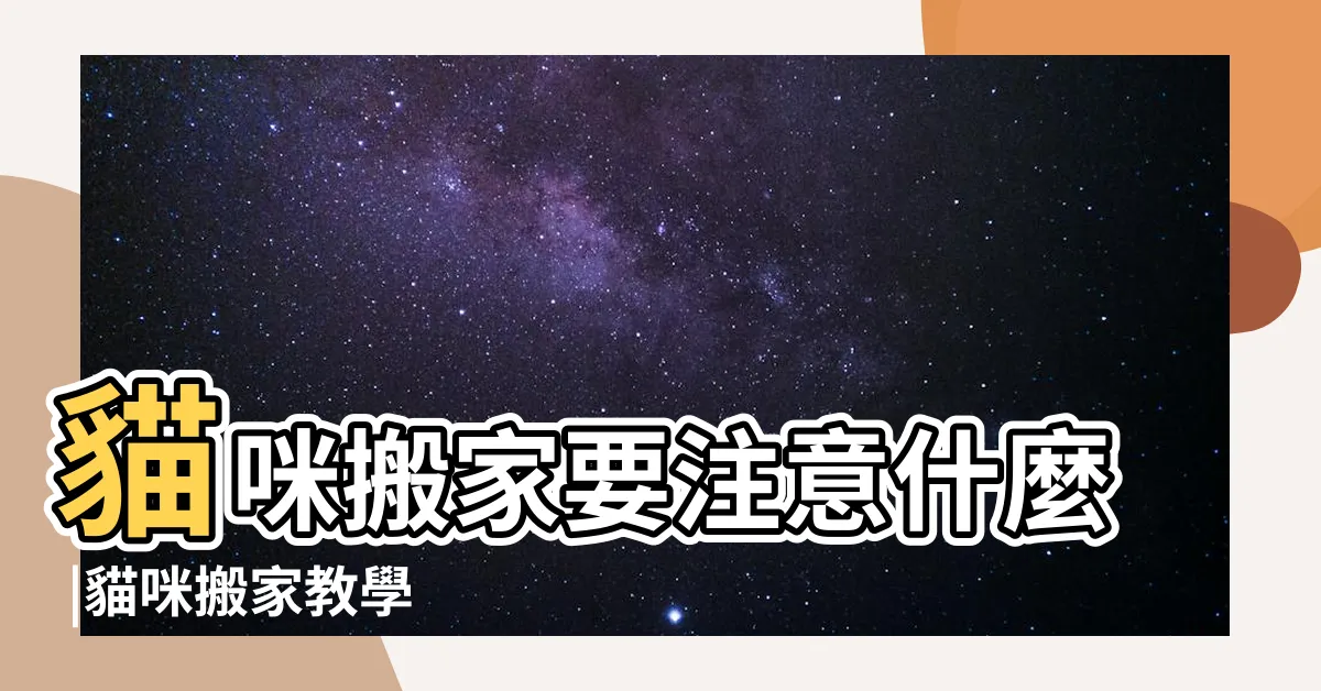 【貓搬屋】貓咪搬家要注意什麼 |貓咪搬家教學 |減輕貓咪搬家不適 |