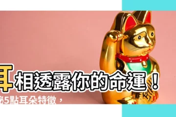 【耳垂面相】耳相透露你的命運！揭秘5點耳朵特徵，一窺耳垂面相