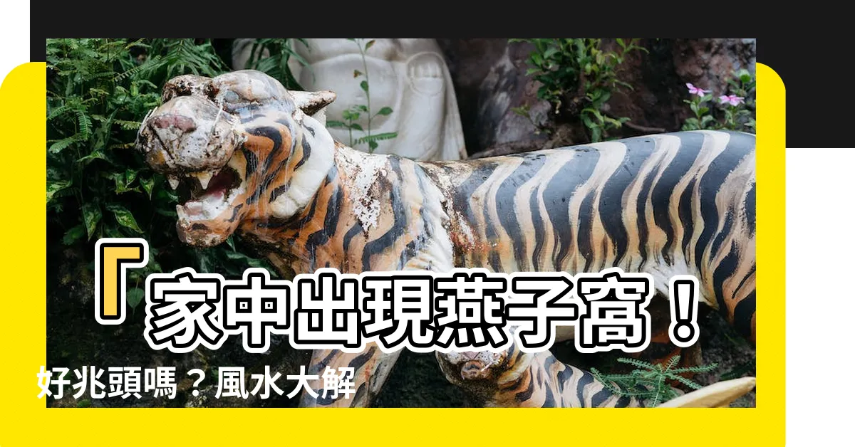 【家裡有燕子窩】「家中出現燕子窩！好兆頭嗎？風水大解析，發大財指日可待！」