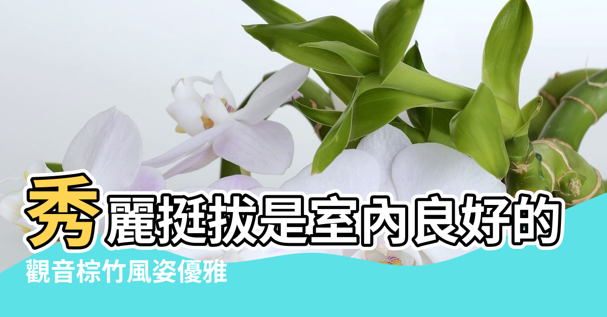 【棕竹的風水作用及擺放】秀麗挺拔是室內良好的觀葉植物 |觀音棕竹風姿優雅 |棕竹在風水上你不可不知的作用 |