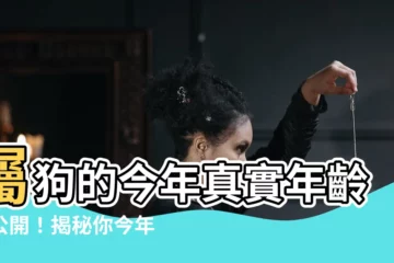 【屬狗歲數】屬狗的今年真實年齡大公開！揭秘你今年偷偷多長一歲了嗎？