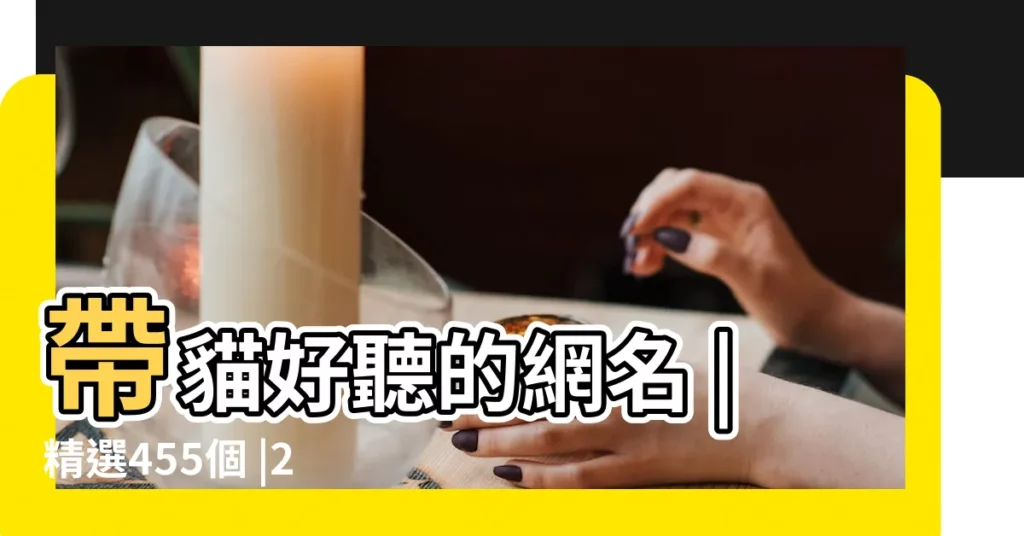 帶貓好聽的網名 |精選455個 |2022很潮帶貓字的女生網名 |【帶貓子女生網名】