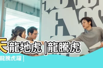 【老虎魚是風水魚嗎】天龍地虎 |龍騰虎躍 |龍騰虎躍 |