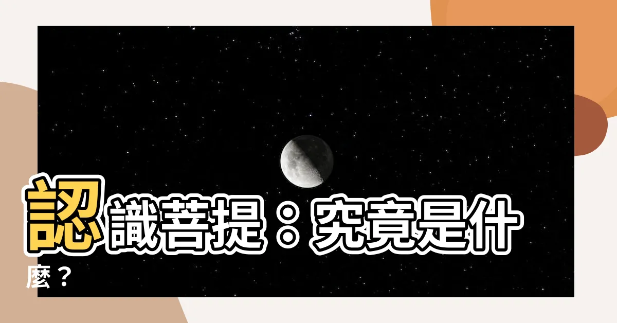 【菩提的意思】認識菩提：究竟是什麼？