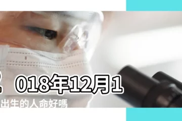 【男孩2018年12月12出生】2018年12月12日出生的人命好嗎 |2018年12月12日出生日期看命運 |2018年12月出生的屬狗寶寶起名取名名字大全 |
