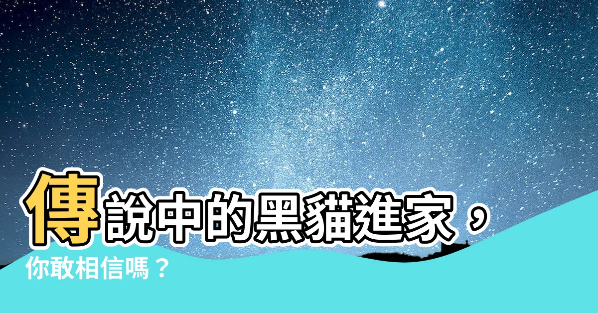 【黑貓進家】傳説中的黑貓進家，你敢相信嗎？