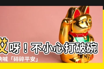 【不小心打破碗】哎呀！不小心打破碗！快喊「碎碎平安」？原來暗藏超狂徵兆！